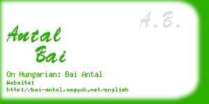 antal bai business card